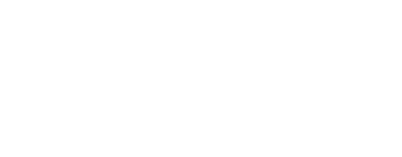 Logo of Rapid Response Pest Management featuring a cartoon ant with a smiling face inside a circular emblem