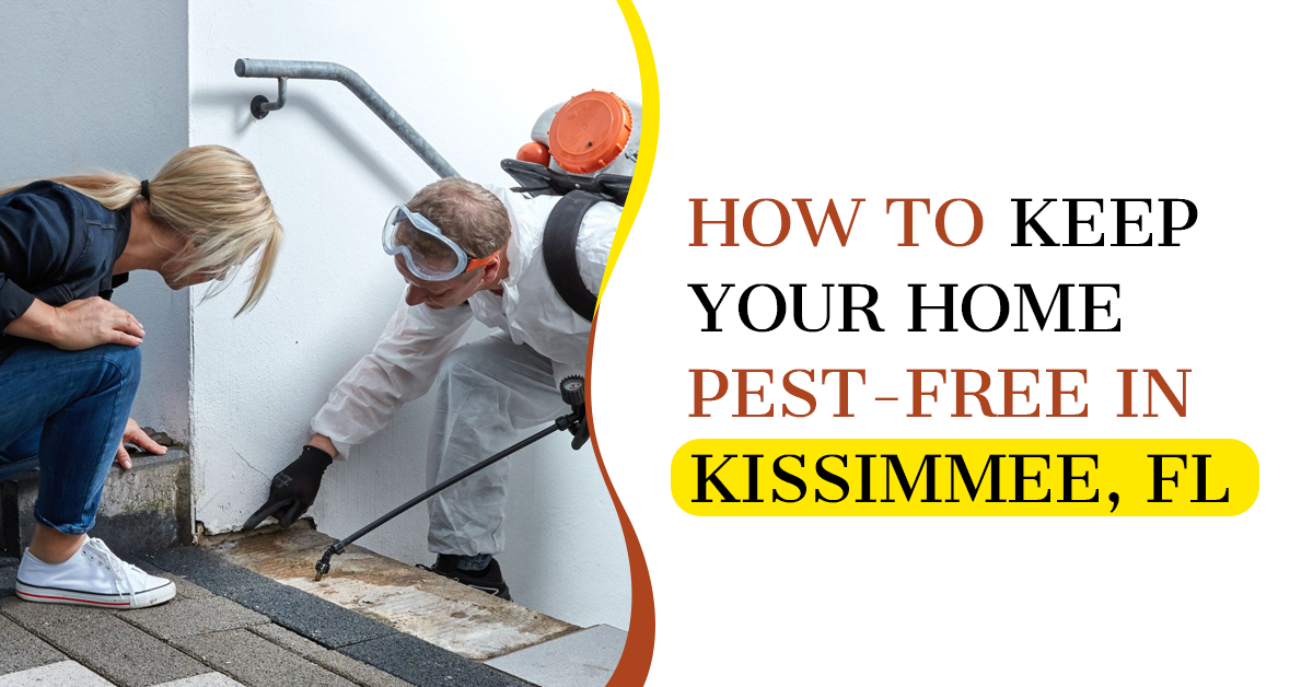How to Keep Your Home Pest-Free in Kissimmee, FL