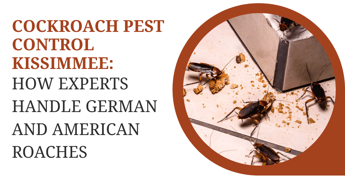 Cockroach Pest Control Kissimmee: How Experts Handle German and American Roaches